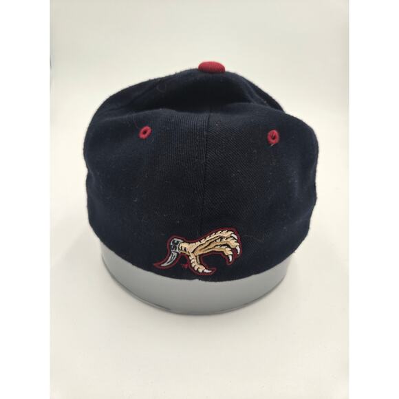 South Carolina Gamecocks Hat Black Adjustable Baseball Cap Embroidered Logo - Picture 2 of 5